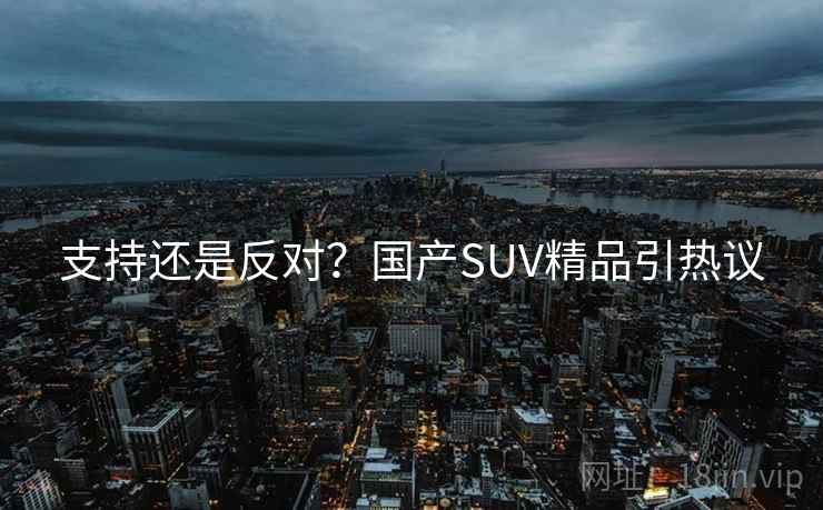 支持还是反对？国产SUV精品引热议