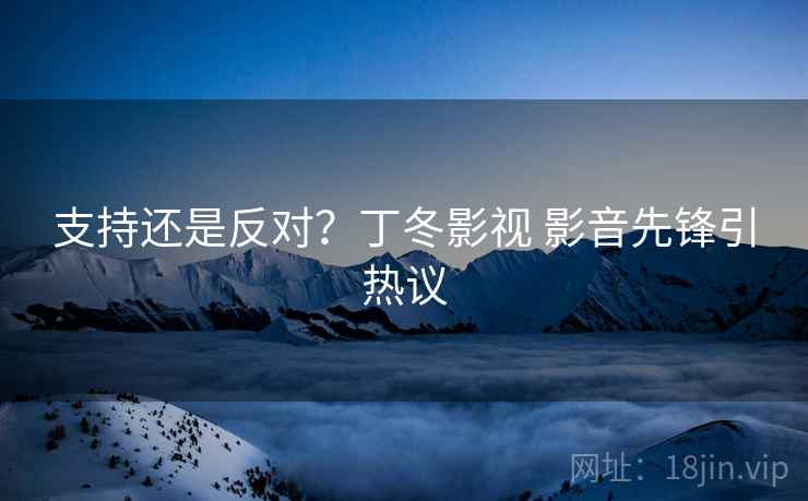 支持还是反对?丁冬影视 影音先锋引热议