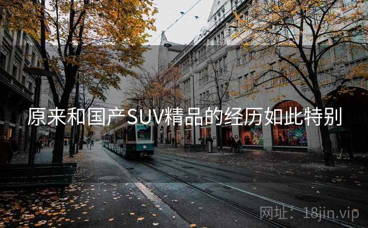 原来和国产SUV精品的经历如此特别 原来和国产SUV精品的经历如此特别